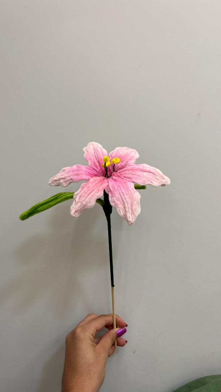 Lírio PipeFlorYou